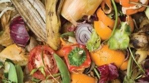 Food Waste Sorting